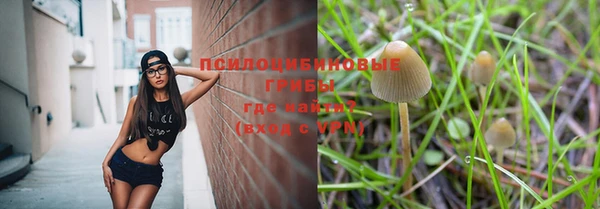 хмурый Алзамай