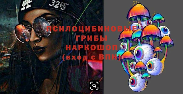хмурый Алзамай