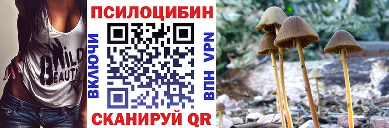 где купить наркоту Биробиджан Псилоцибиновые грибы мухоморы